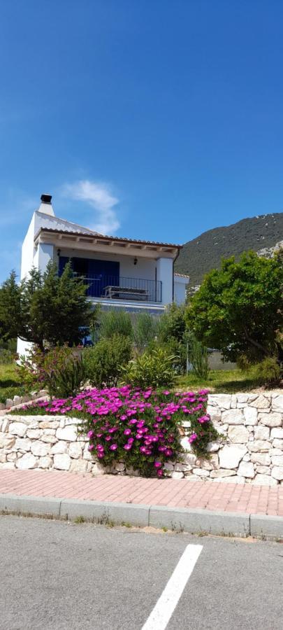 Apartment Casa Azzurra